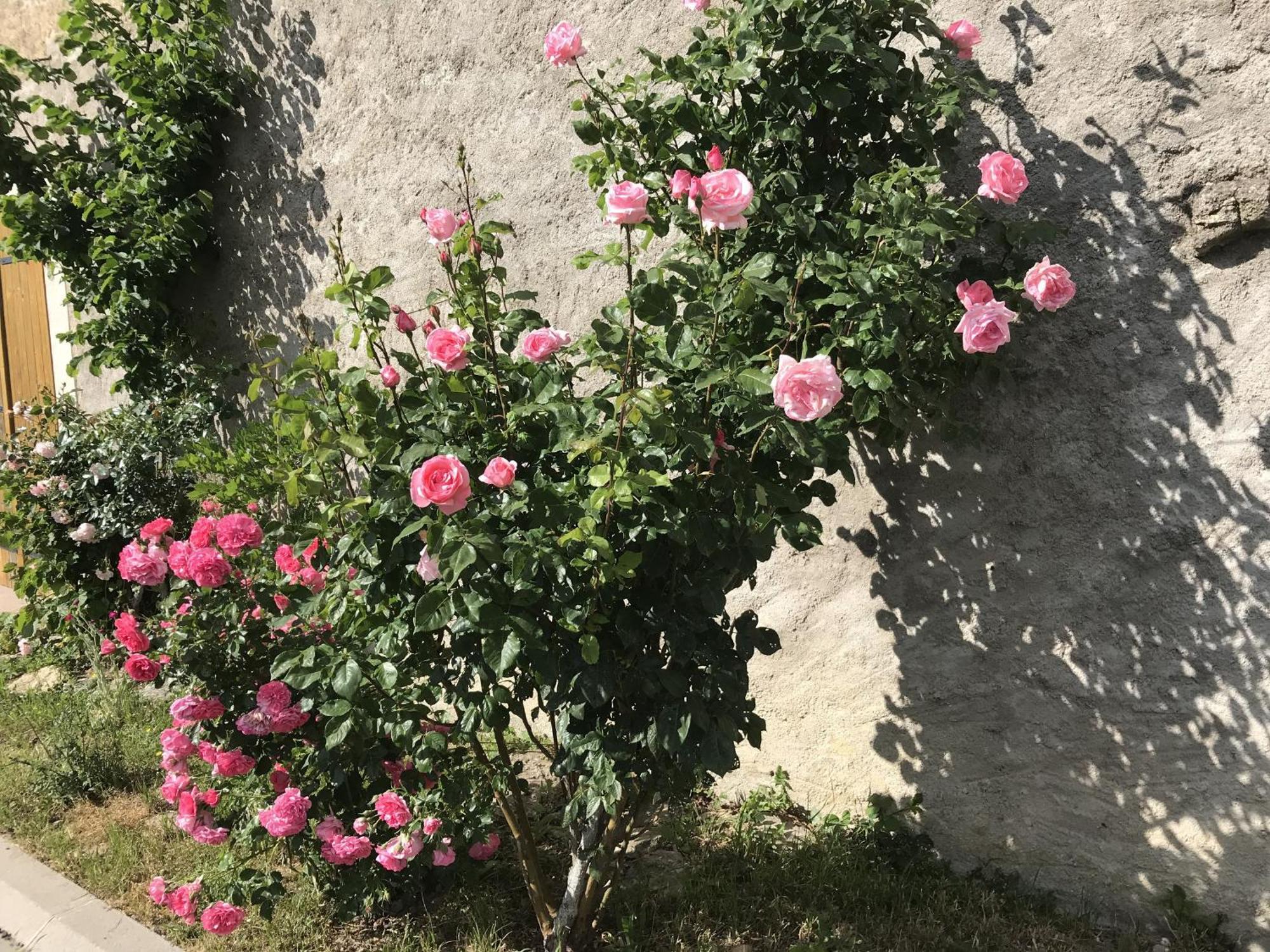 Gite Renove Avec Jardin, Proche Loisirs Et Commerces, A Une Heure De Nancy Et Metz - Fr-1-584-168 Autrepierre Eksteriør bilde